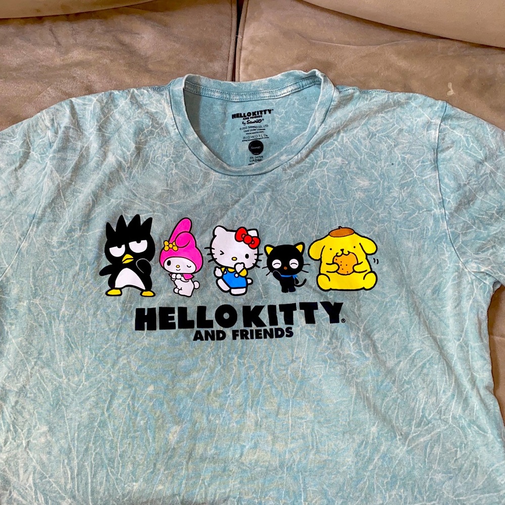 Hello kitty and friends